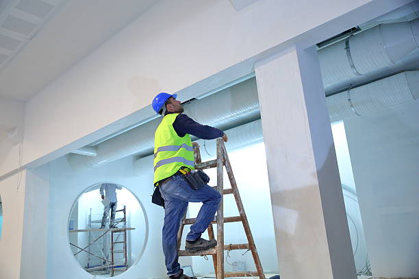 Best Eco-Friendly and Low-VOC Painting  in Buhl, MN